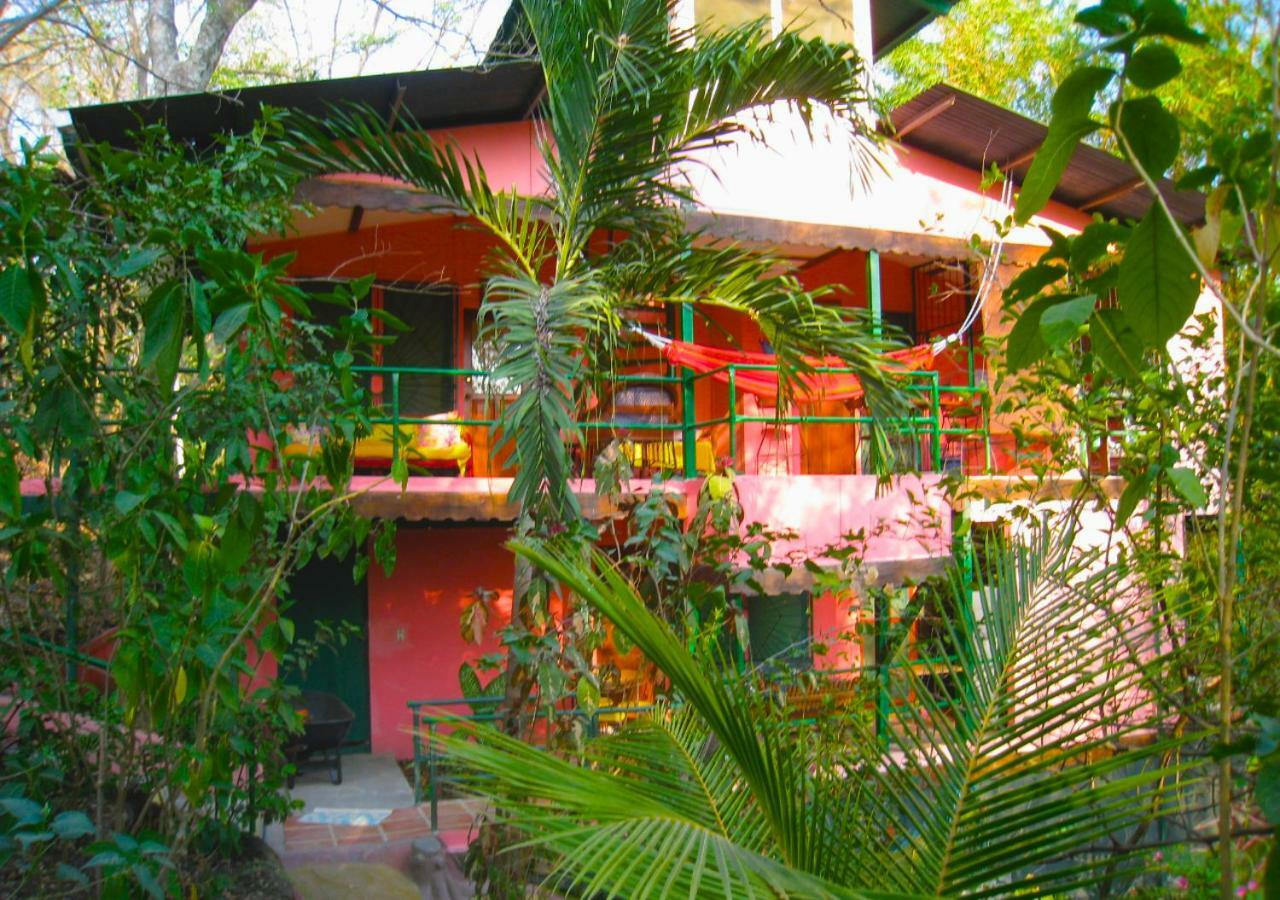 Nosara B&B Retreat Dış mekan fotoğraf